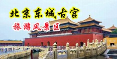 美女脱衣网站中国北京-东城古宫旅游风景区